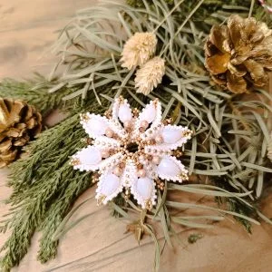 Peyote csillag